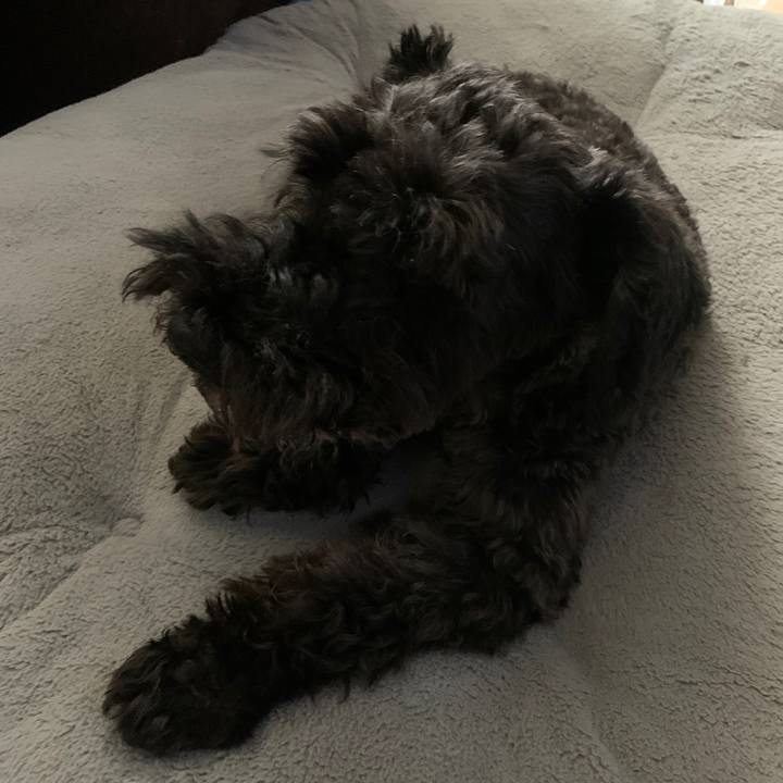 8f129969 1157 4f37 aa2f c52c90c7575a 1690765064735