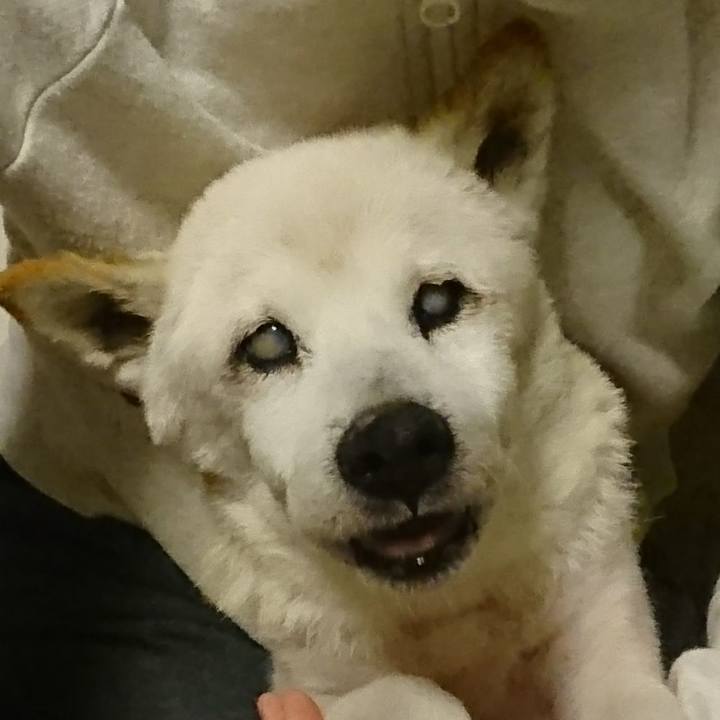 8f12bb12 38a6 48ac 83ee 2a5a57f20132 1529416892787