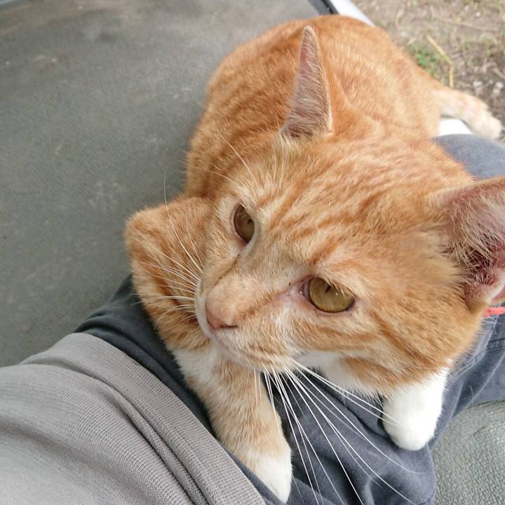 8f12e306 49d8 4e72 87d3 15ae45ae7e5f 1569734456595