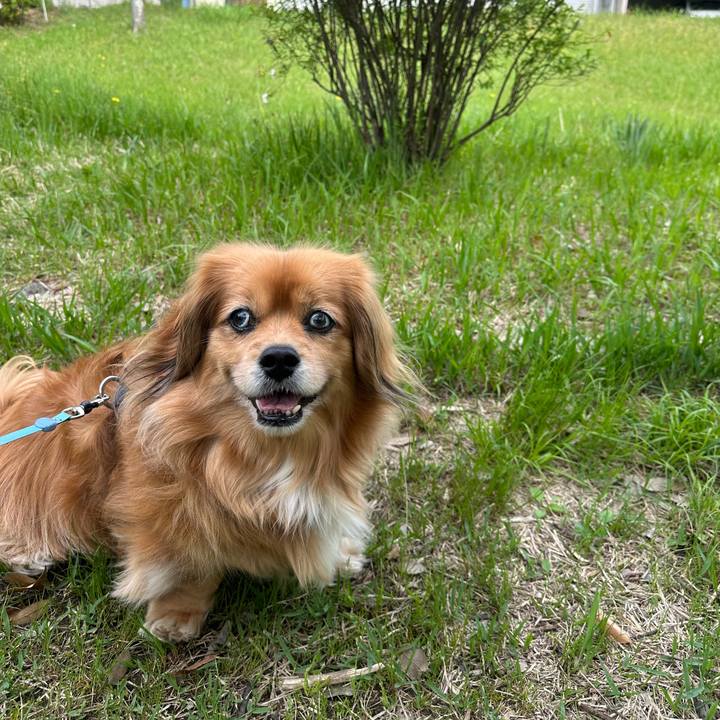 8f12f4b9 3d98 4893 8b14 5a849ad94b11 1713657128494