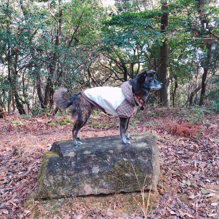 8f12fb12 1ef1 4d3e a0fb cb7d11d51321 1609808259773