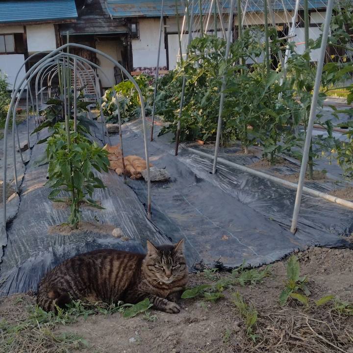 8f13014c 8b4b 4dab a0bb 5298c2db4cf9 1718099225455