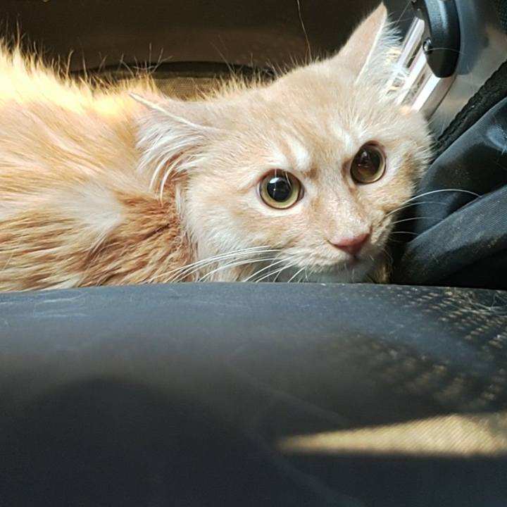 8f137864 2a63 4941 ba34 65f8e51a65ea 1681723050999