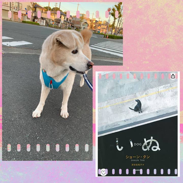 8f137b57 fc9a 42f0 8e62 e48d68f5fcd2 1673829706927