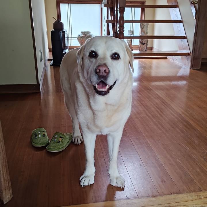 8f139d94 43c2 4dbd af3f efc35df88fb9 1745544511451