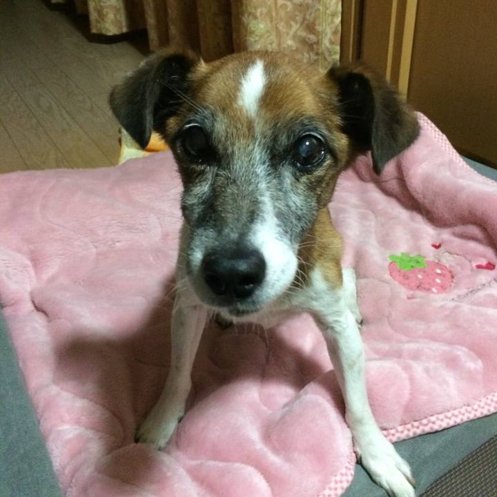 8f13cd74 a327 4bf6 9d7b a041df8ac0cd 1508934723486