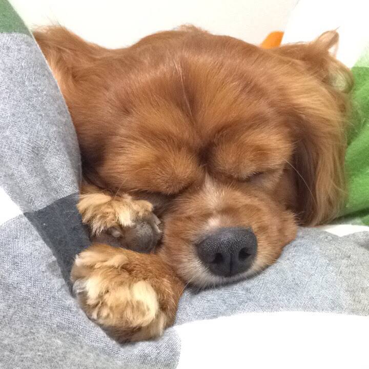 8f13eed3 29e9 45a8 99c8 fe1611e11bde 1593122775069