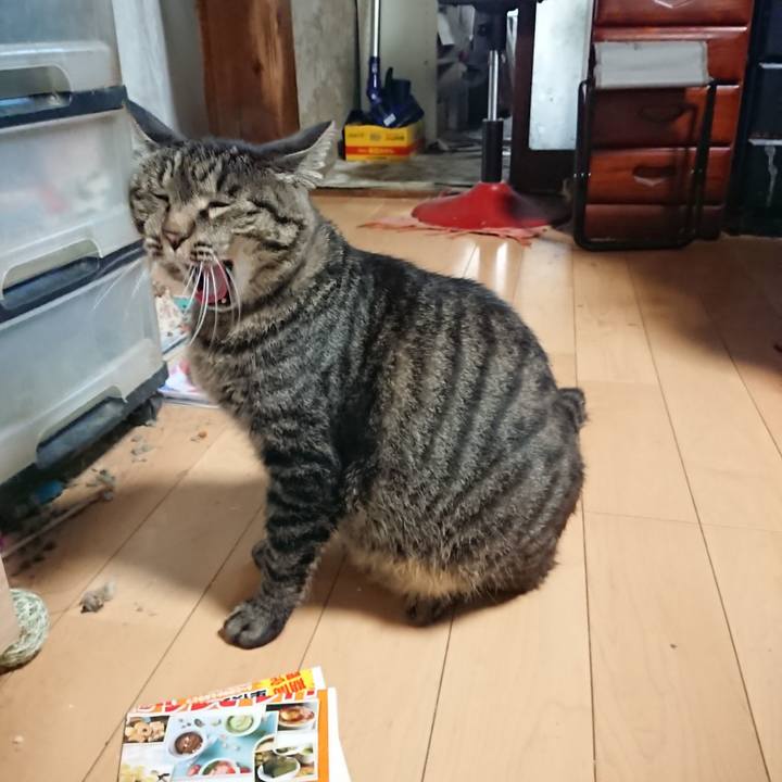 8f140131 e057 4e39 af77 462e95393ab5 1659476274569