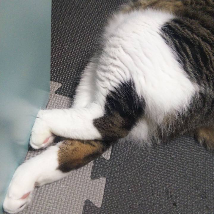 8f141cda 7008 4efb ad3e e714ca9727de 1656420580319