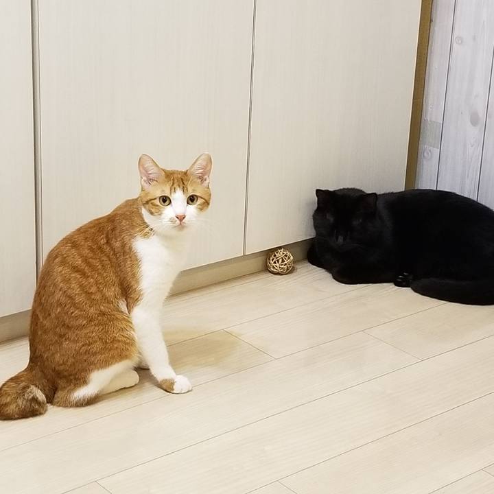 8f14211c cdc9 4de9 bae4 5f2ec1195938 1537789040129