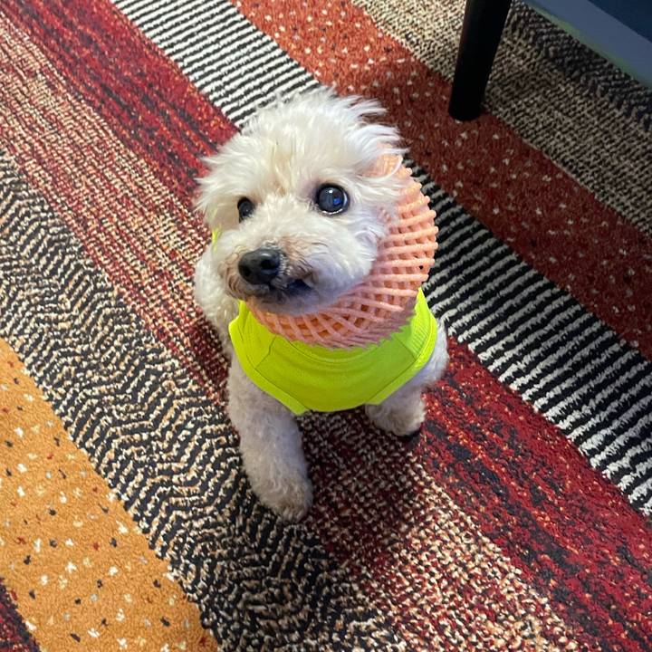 8f1445a5 1f04 49ba b36e 3638ce383a34 1690459354835