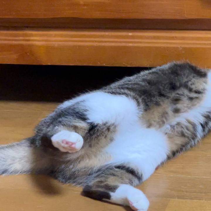 8f147d5b 9608 419b b565 a1d743d59296 1713139792940