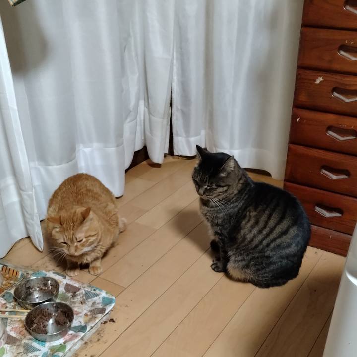 8f1483d5 92c6 4508 874b 9ba4720e89b4 1705406549352