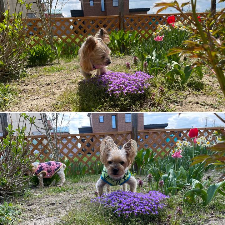 8f148c27 9bf7 4190 9cd8 9bc5e6e17888 1652695750468