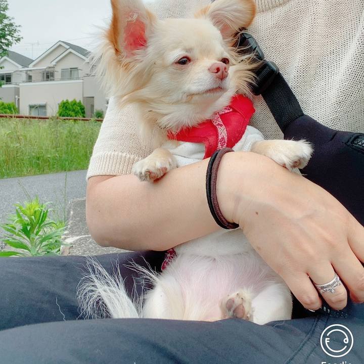 8f14d493 5986 4a26 89d4 f7669c033346 1621501501833