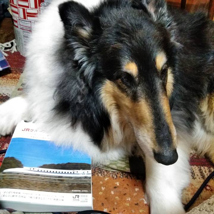 8f14e127 f25b 410e 95cb c60a4eccd972 1523022353761