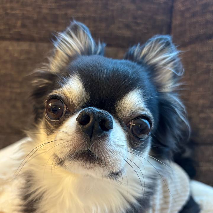 8f14fd42 838a 4e0c a67d 1e4288085e18 1732404223510