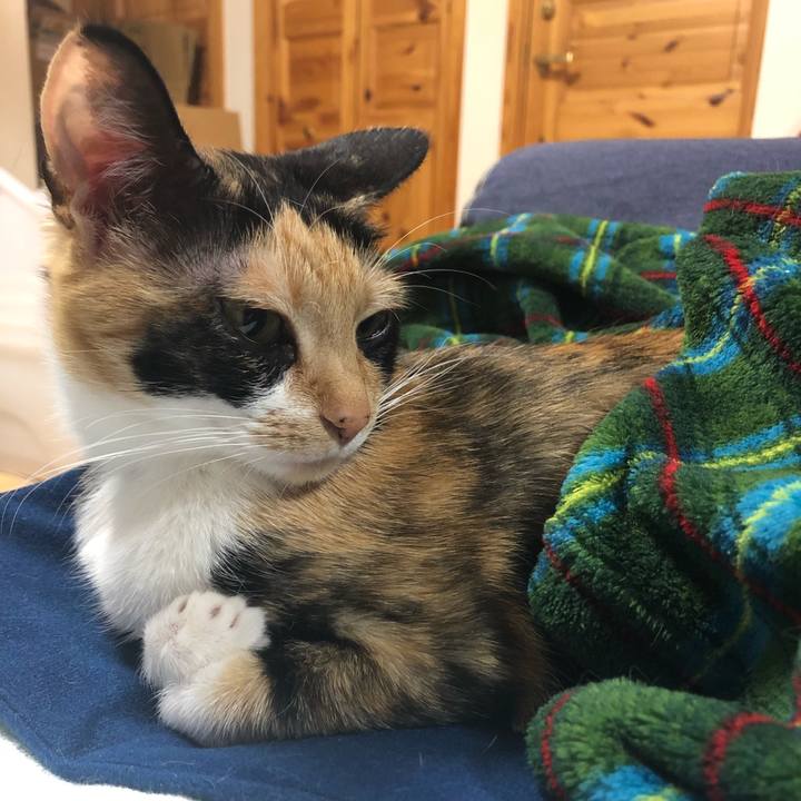 8f1501a0 9c21 4811 ba13 0e8bd3bee2a2 1546951685941