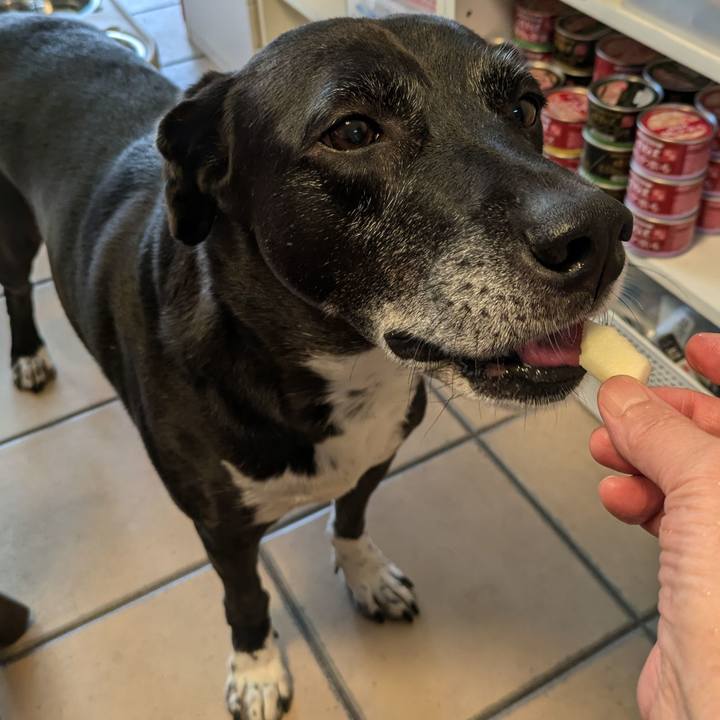 8f150412 1d70 459e 85f7 5330cbaf9e36 1728730579293