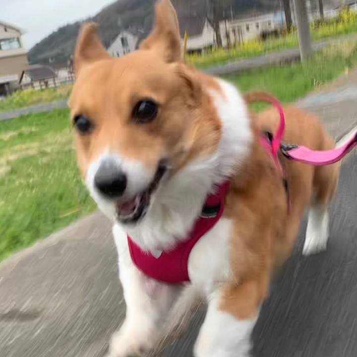 8f150b76 de49 4edb b7fb 67e9ab19c2ec 1648539824991