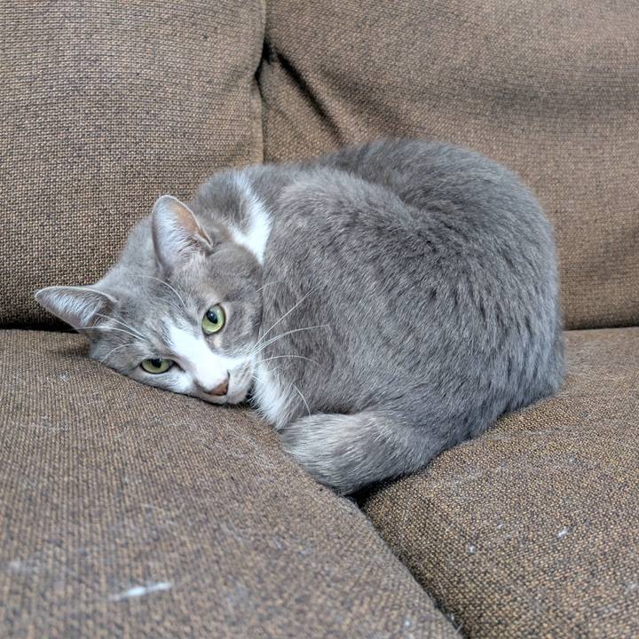 8f151acb 5442 477d 8360 6b6c4f7a26b2 1732100384852