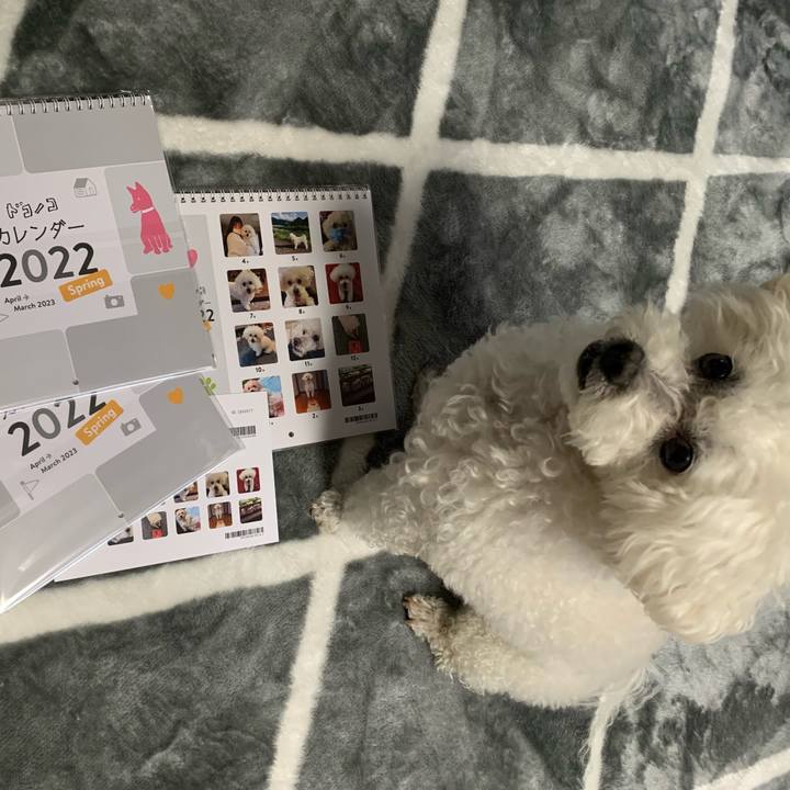 8f153cbe 61ce 4258 aeb5 c1c6e0d590a8 1647677275165