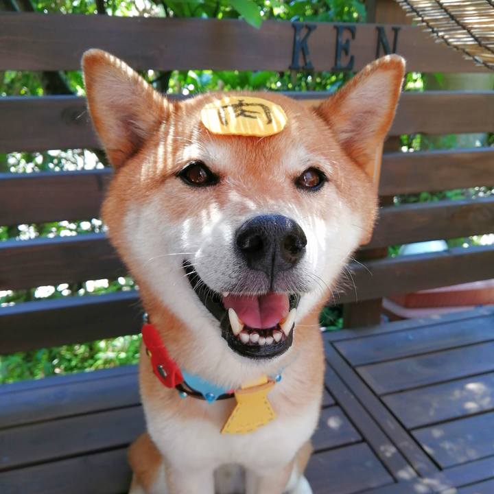 8f15433f 3769 45bb bf03 2cf9a2e7d34b 1659058457368