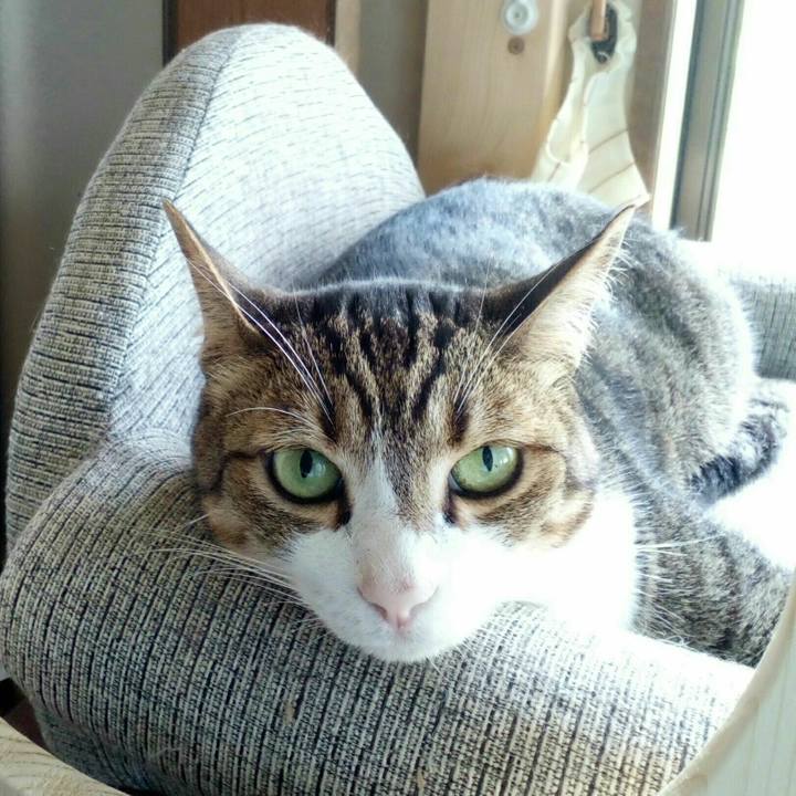 8f154e6f 8d1e 4889 bef5 b339f58f053b 1531011583935