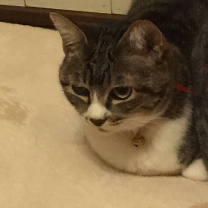 8f1551bc d8fe 4a25 b44d 960e13eb4823 1555494279780