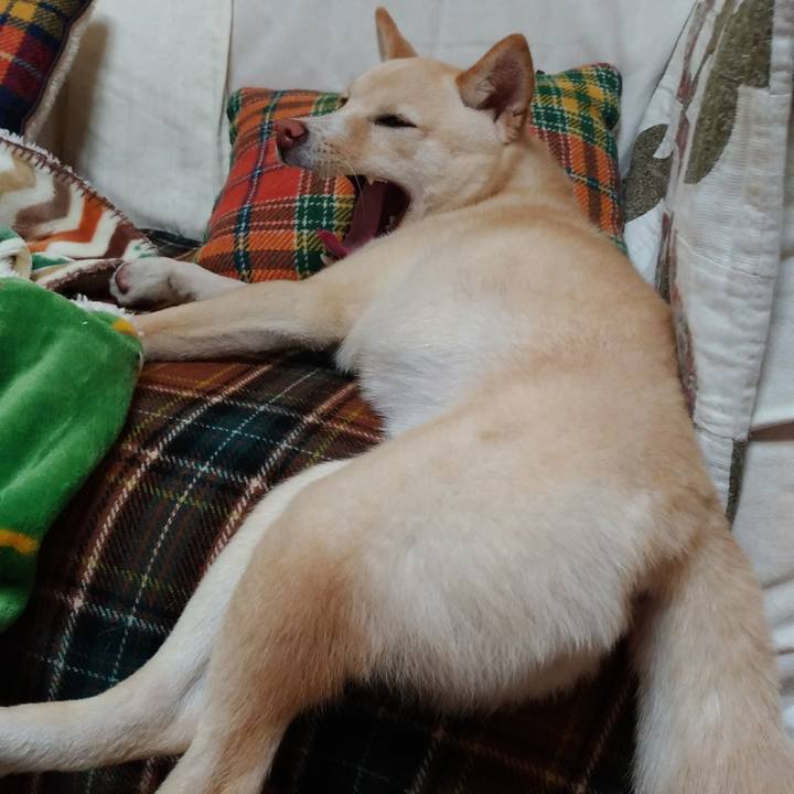 8f1557de e73d 42ab a3a1 58efac6c51b0 1515330831847