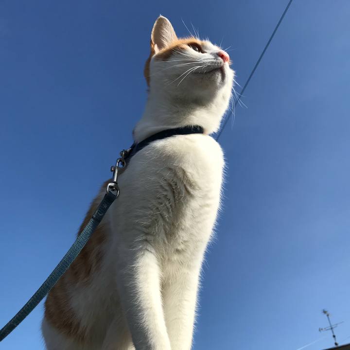 8f157d80 09e5 47d9 800d ece4cc6da898 1516463362719