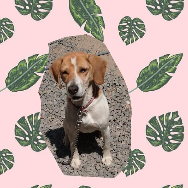 8f15dce5 cfba 45fc 85bf 5d0810696d23 1588301958991