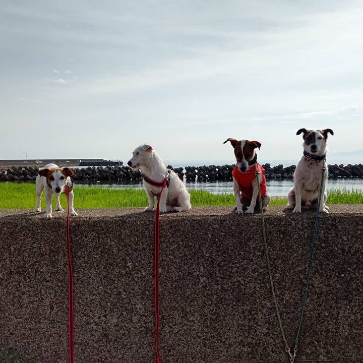 8f15f56f b4ba 48c9 8253 c7cd07833ec8 1657928006743