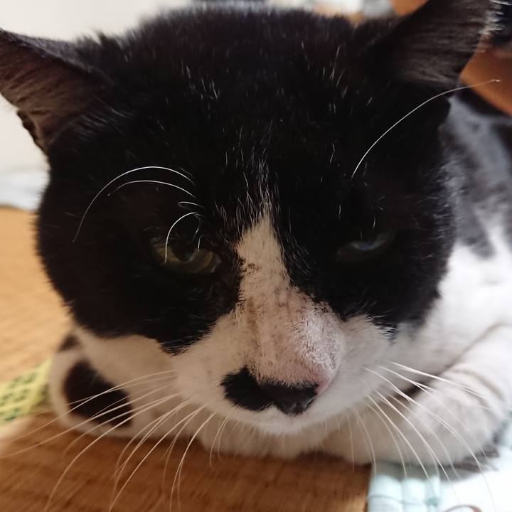 8f1605a9 daec 43be 81e9 56af0af50626 1558520654865