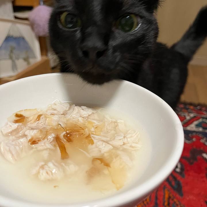 8f160614 fcda 463b 87a7 eb1d4b1bf0c3 1690116664552