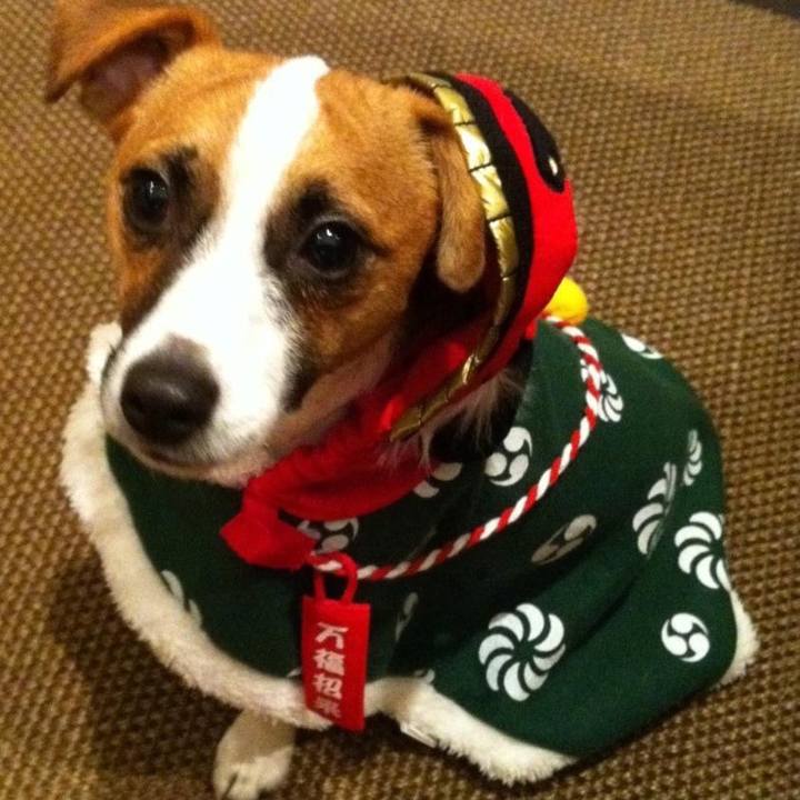 8f160fbd 5eae 4227 847e 8c229b5433fd 1672498942047