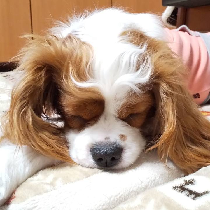 8f163e1f 457e 43d2 9225 50a940db7fbb 1579016436555