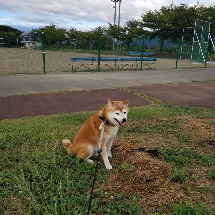 8f165962 d08d 46f2 b748 be5bffee49ac 1694158462941