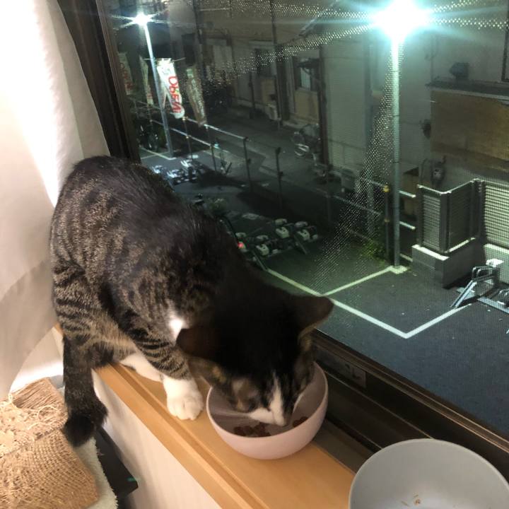 8f169627 6c91 44c0 86f1 544077140282 1627506654122