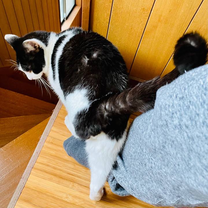 8f16c1ea 889a 4c46 94b8 418da2b1800d 1612747806493