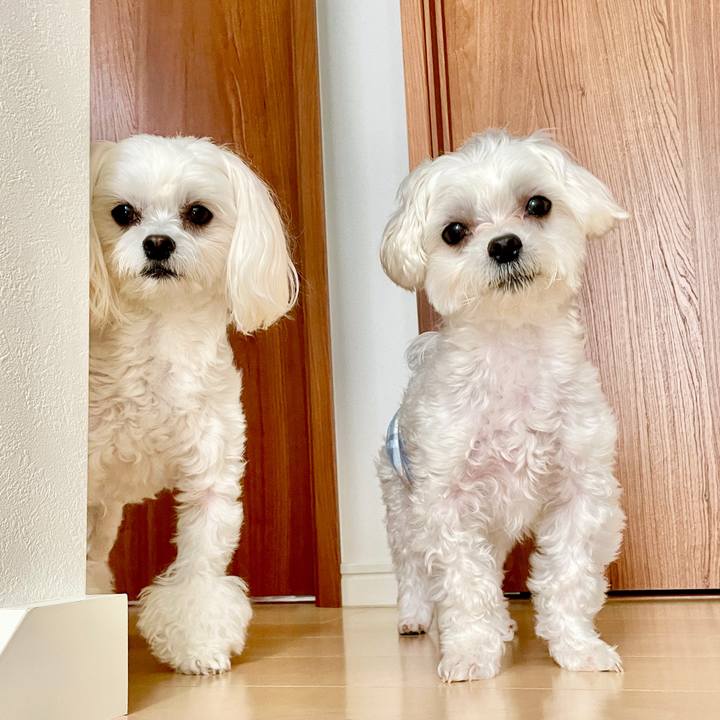 8f16c6d3 5666 4e23 b40f 54b7b1dca970 1620789796619