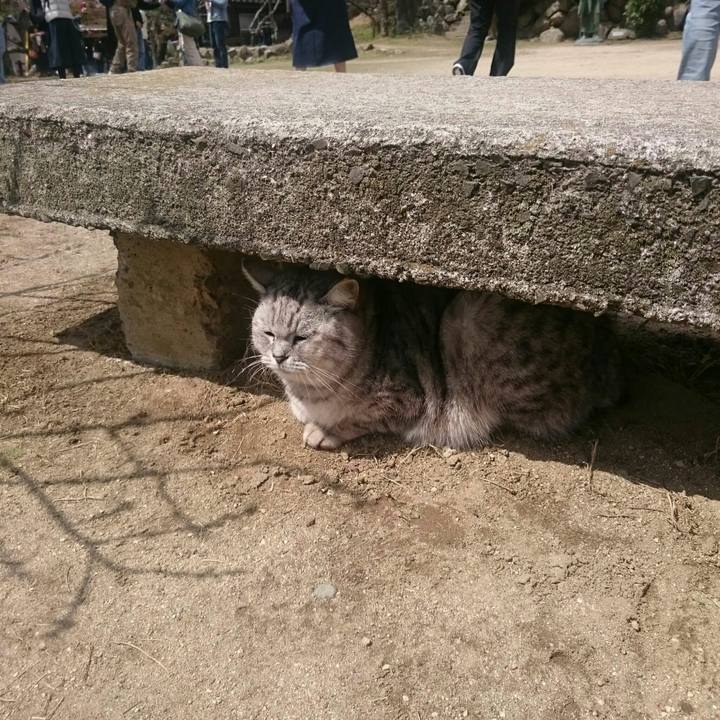 8f16ca3d 75a9 40b8 999b 8adacea62669 1554642104185