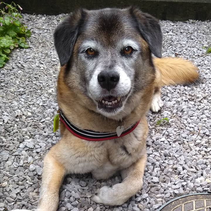 8f16e96e af0e 4ae7 8aa0 cb239ebf0118 1563321827566