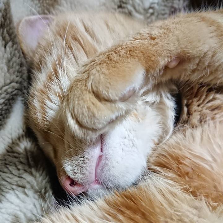 8f16f27d 4ccf 4bda 9970 9b0e2cb31b65 1641125775665