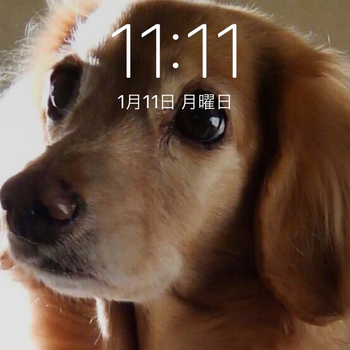 8f16f675 bb12 44ed 87ef f261317f32ab 1610331245415