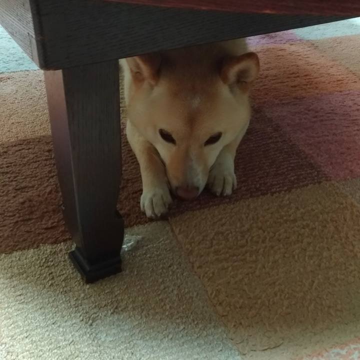 8f1708fa 8746 4220 a1c0 b131b6fb03a4 1556067168776