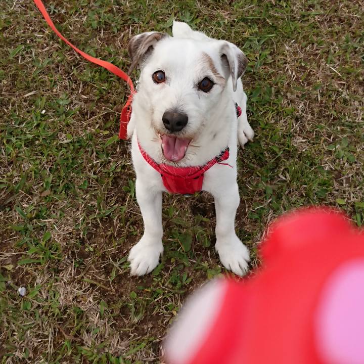 8f1711a9 fc91 41d9 8b59 b0b60fcf6227 1587512673780