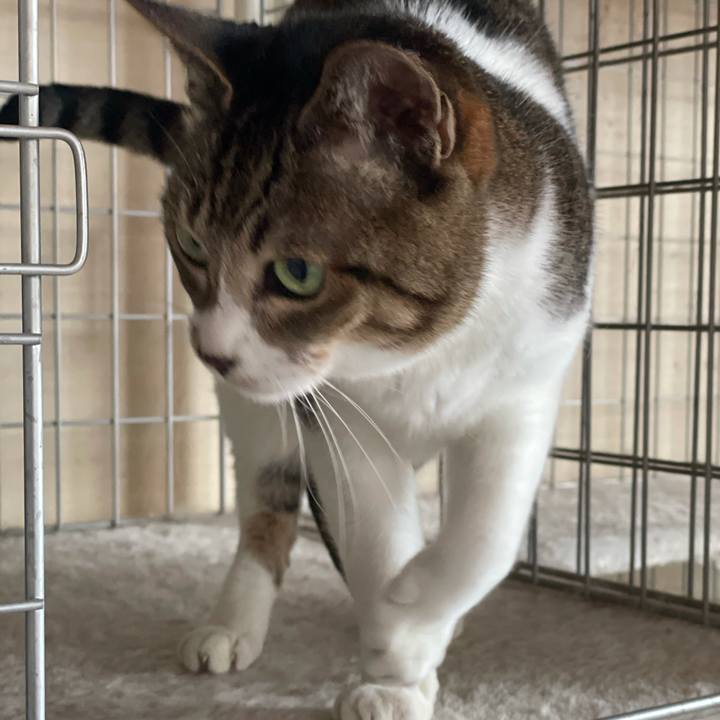 8f172a92 12c1 4ab5 bf95 dc7074c01a34 1612144937114