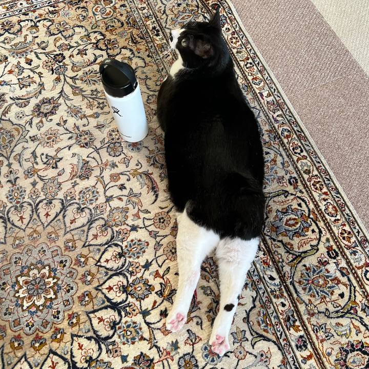 8f176d7b e4da 474a b2aa d20b17a7a9e2 1765318970057