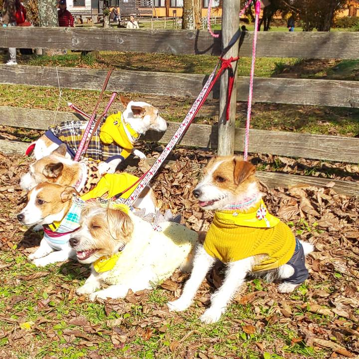 8f179bda 02d3 42fa 9cd2 fe89e4fdd5d0 1573432926167